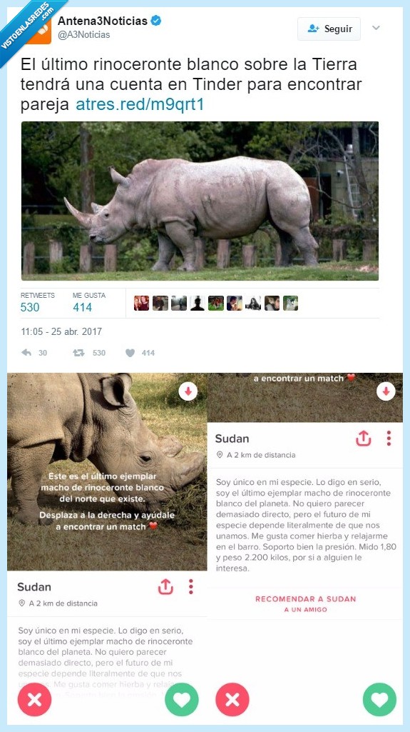 rinoceronte,peligro,extinción