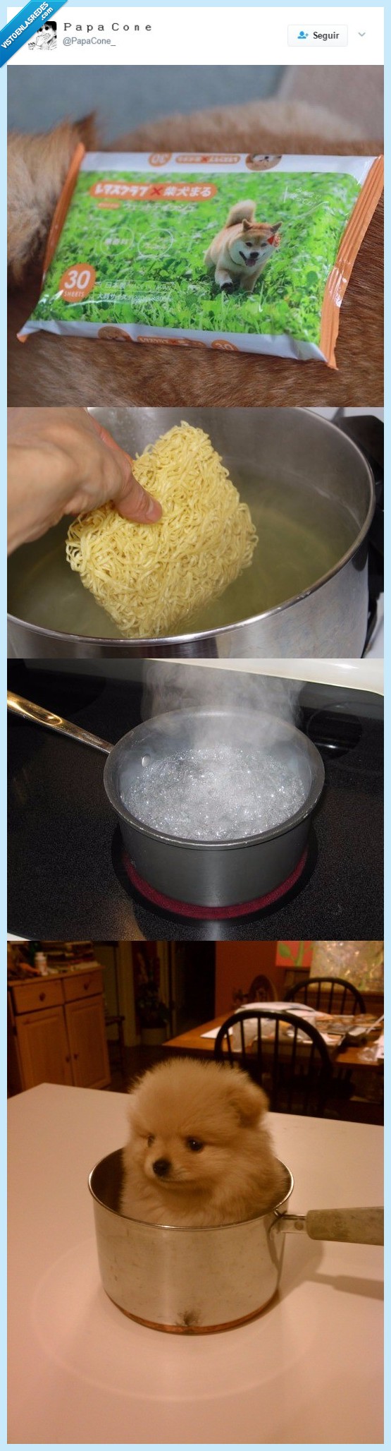 perro,ramen,paella,pomeranian