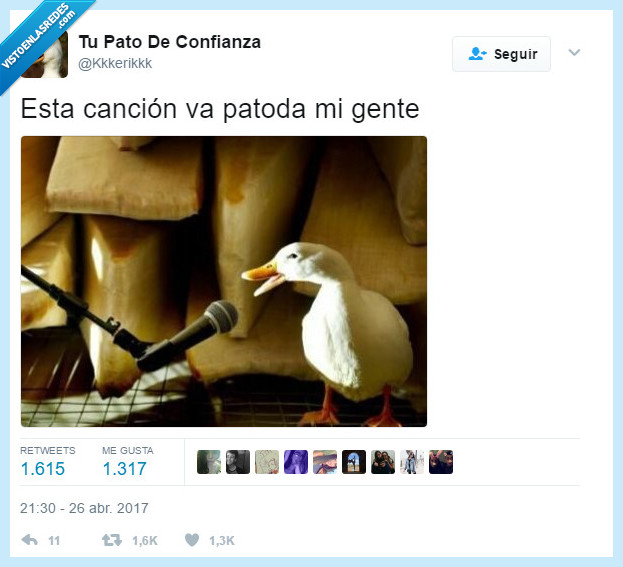 PATO,GENTE,dedicar