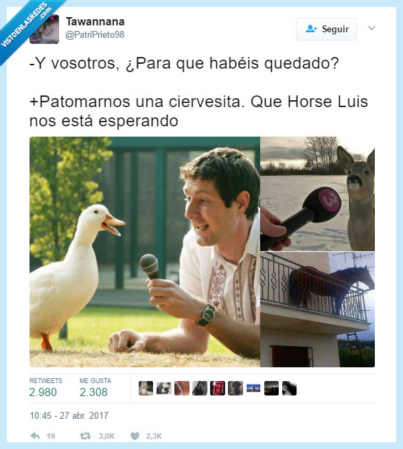 pato,horse,ciervo,meme