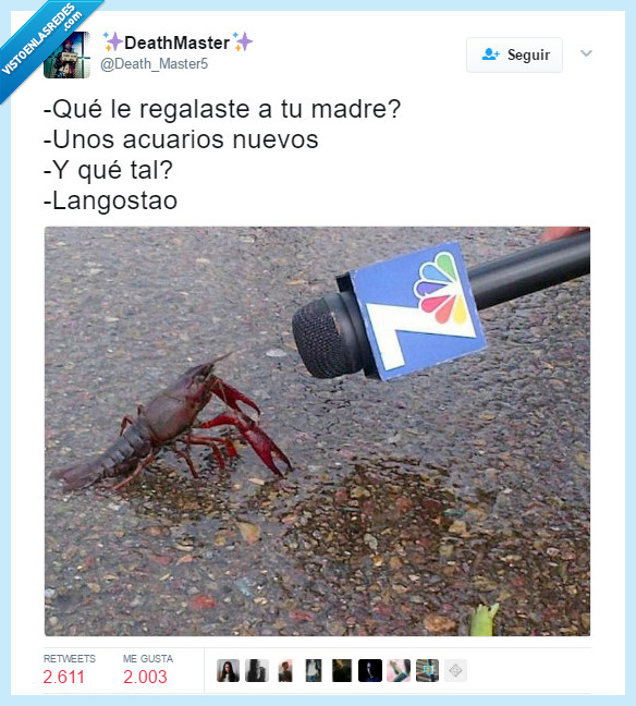 langosta,micro,gustar