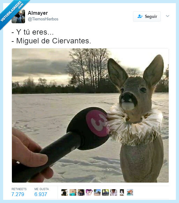 meme,ciervo,cervantes