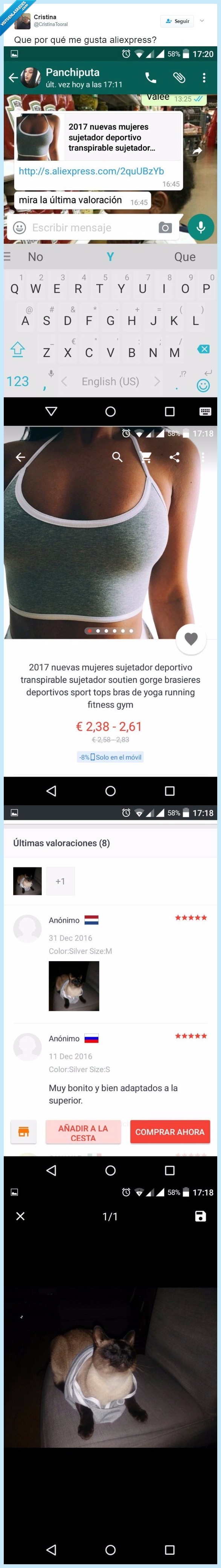 aliexpress,opinión,cogerla