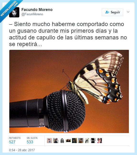 animales,insectos,chistacos