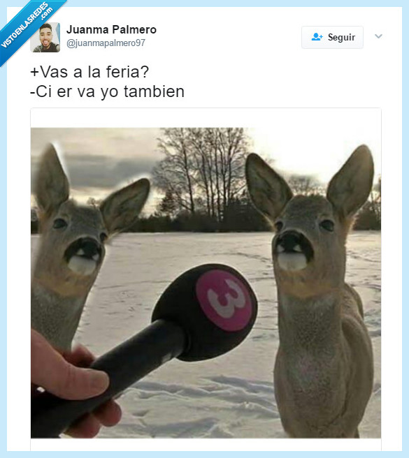 ciervo,meme,moda,andaluz