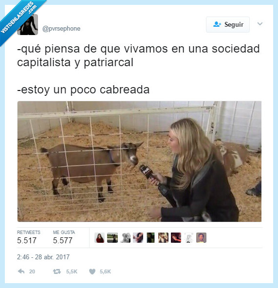 cabra,sociedad,cabrear