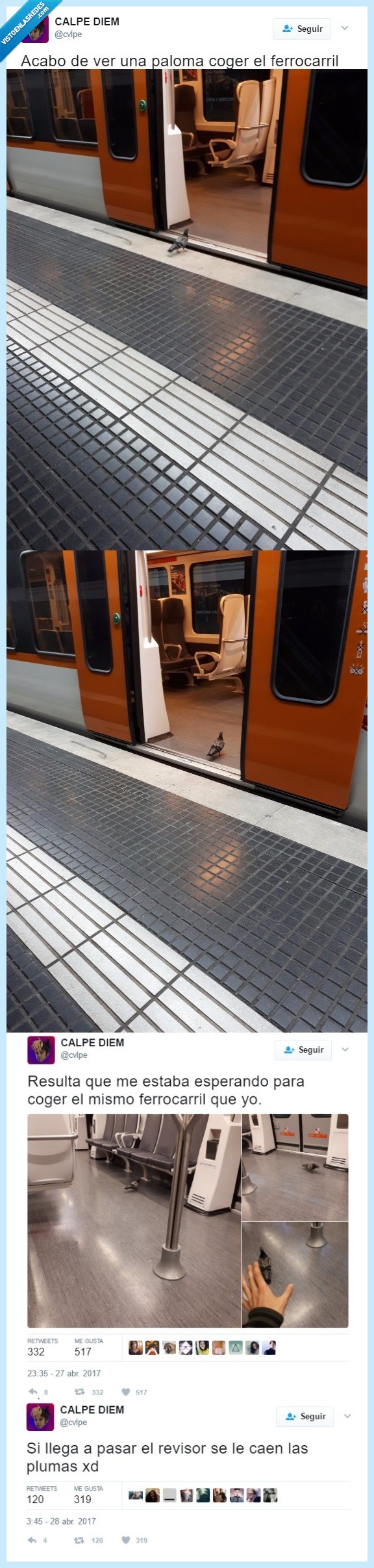 465514 - ¿Una paloma subiéndose en el tren? SÍ, es ella y se ha hecho famosa en todo internet, por @cvlpe