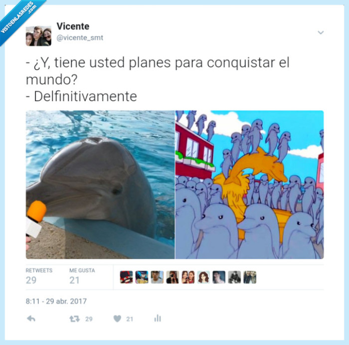 animales,meme,simpson