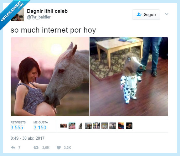 caballo,hijo,embarazo