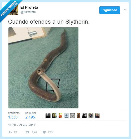 ofensa,serpiente,indignada