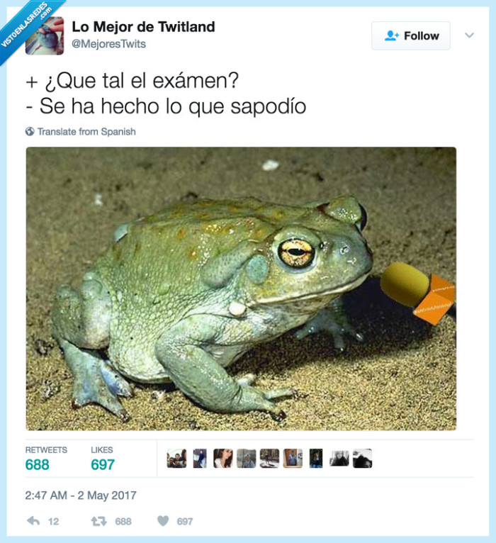 examen,sapo,animales