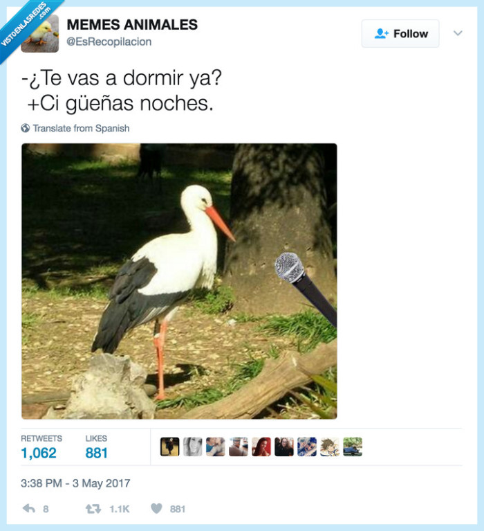 cigueña,animales
