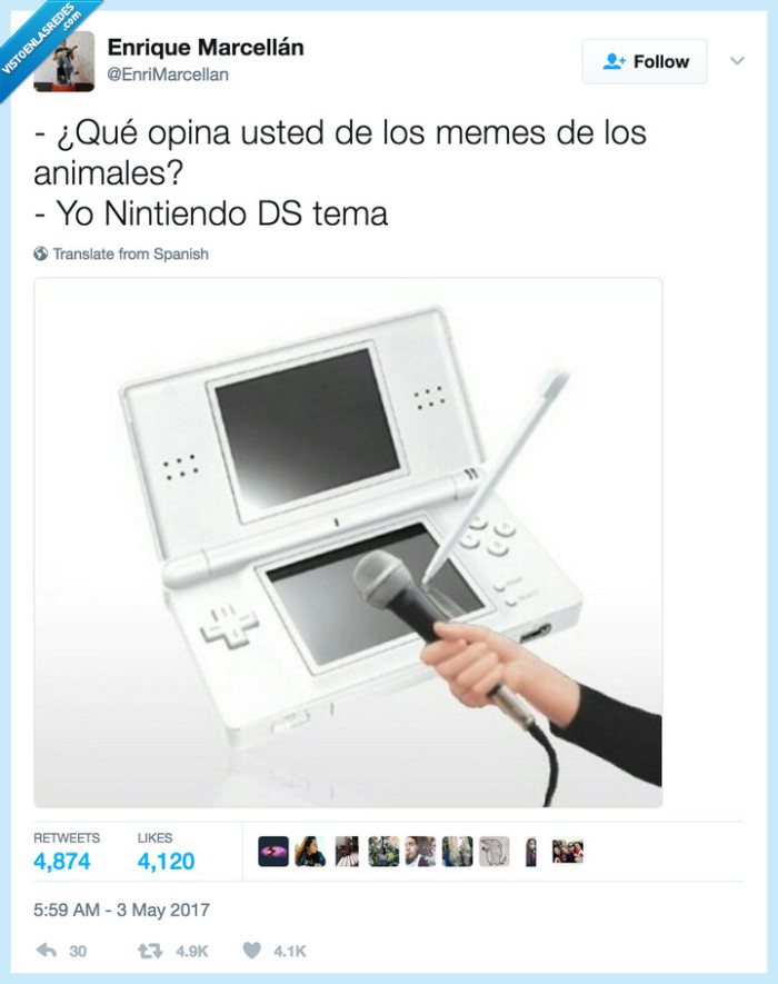 chistacos,animales,entrevista,nintendo ds