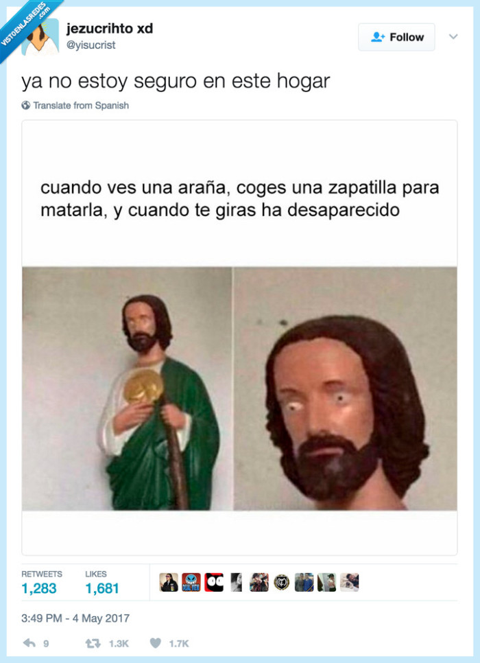 araña,matar,hogar,zapatilla