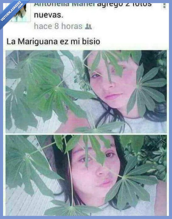 marihuana,vicio,fumar