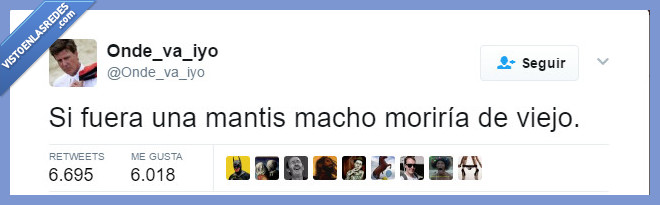 mantis,frunjir,ni pagando