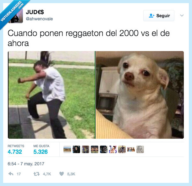perro,chico,reggaetton