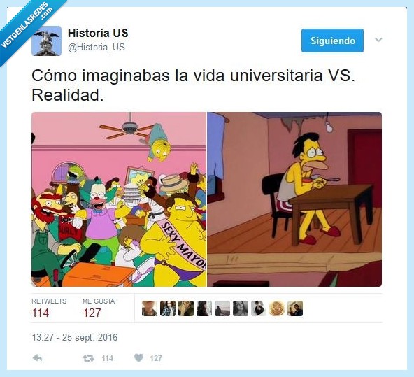 universidad,vida,realidad,simpsons