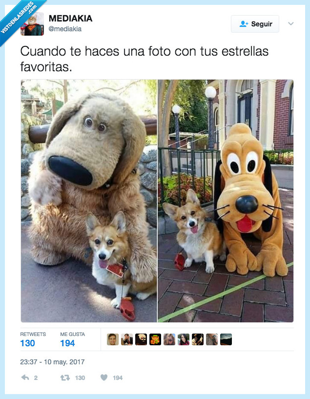 estrella,favorita,cara