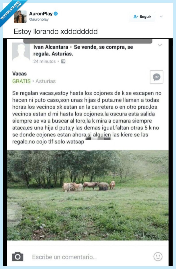 vaca,vender,auronplay