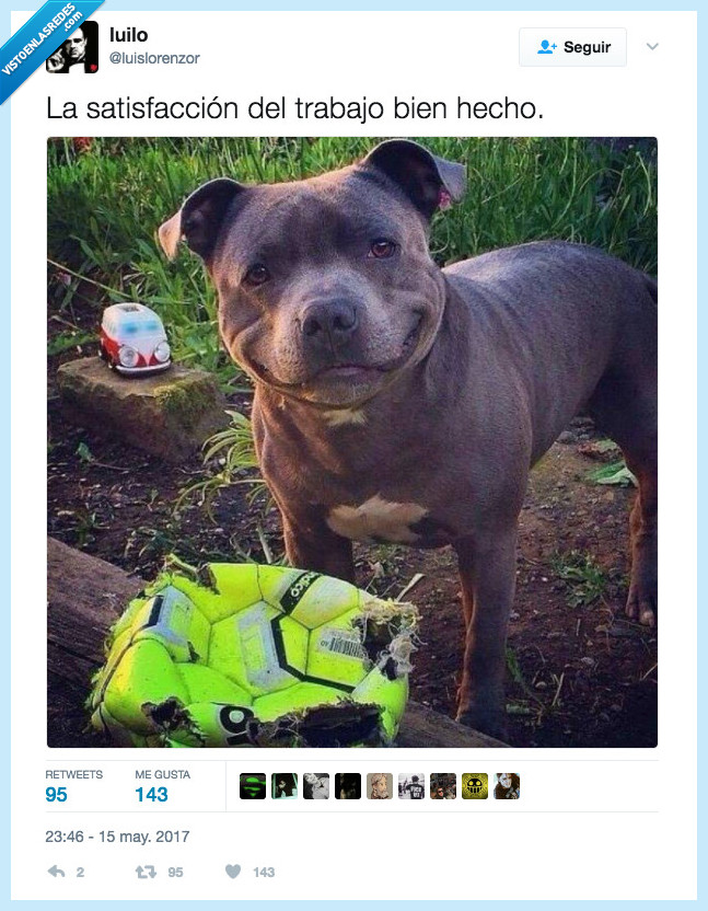 perro,satisfacción,definición gráfica