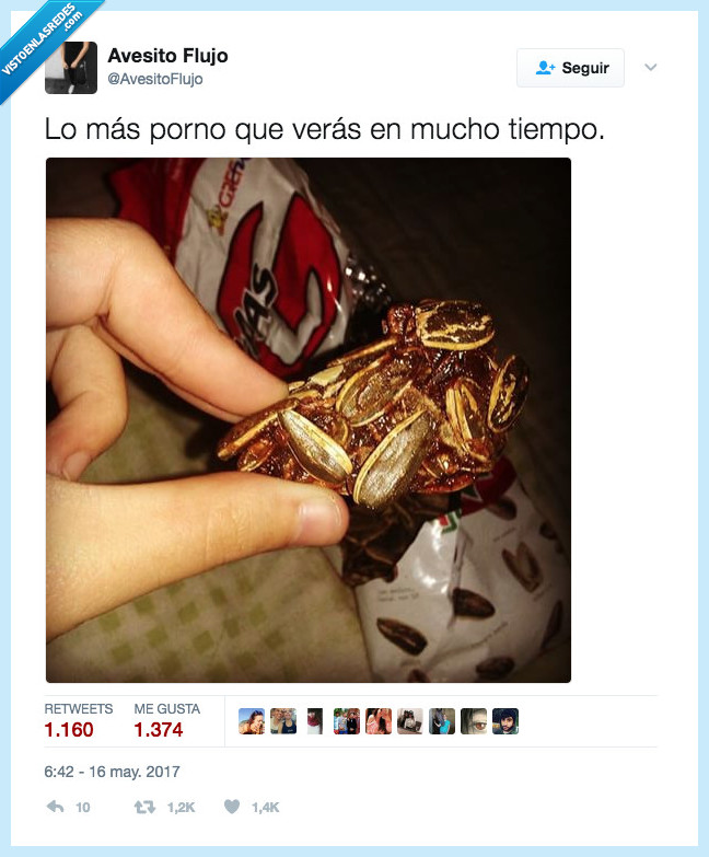 pipas,tijuana,delicia