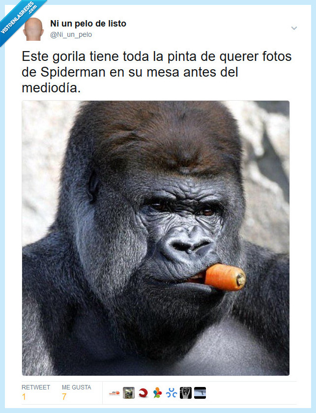 fotos,gorila,spiderman