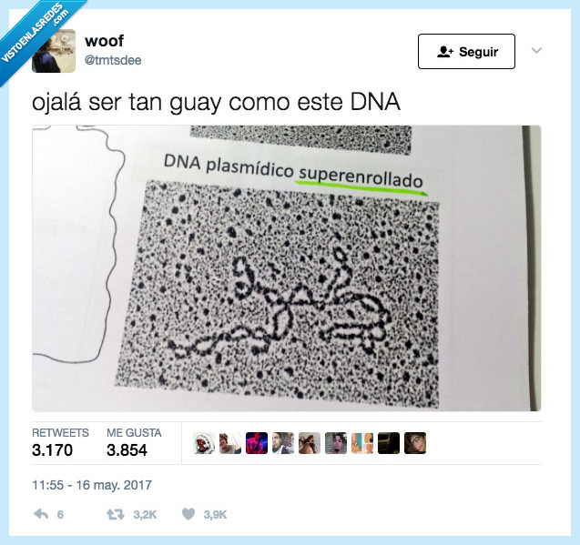 dna,enrollado,guay