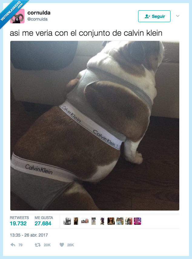 operación bikini,conjunto,calvin klein