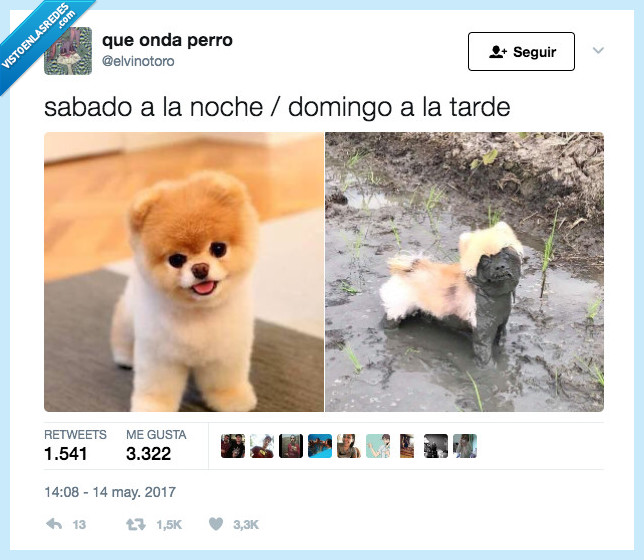 resaca,lunes,domingo