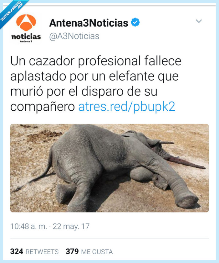 karma,antena 3,elefante