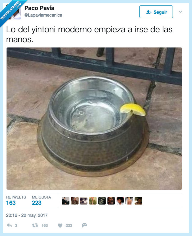 gin tonic,mano,moderno
