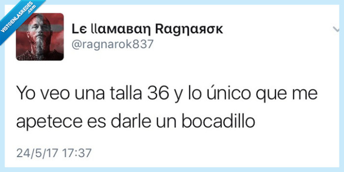 talla 36,bocadillo,comida