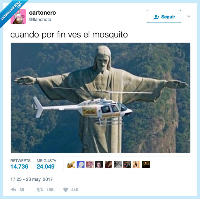mosquito,ver,matar