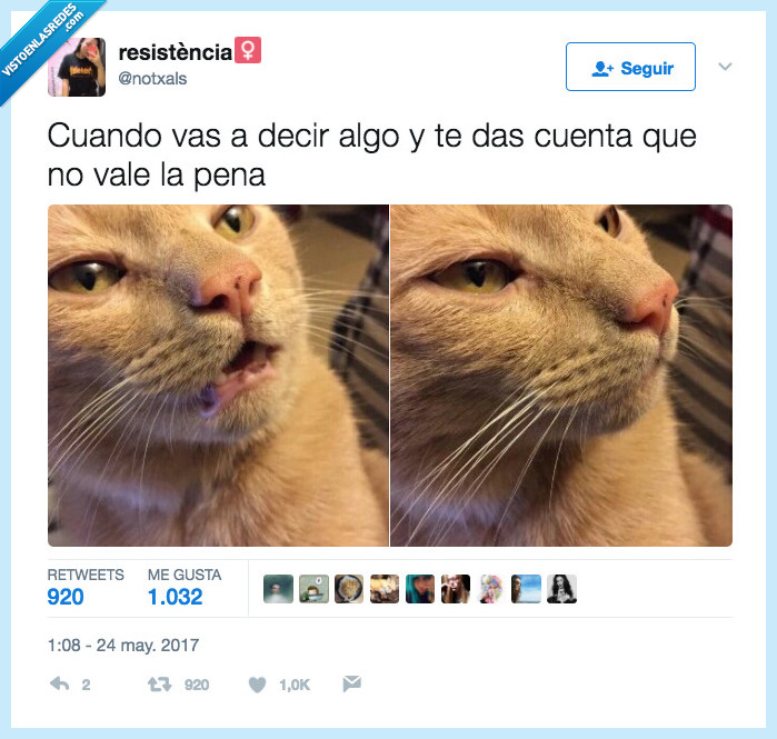 gato,decir,pena,valer