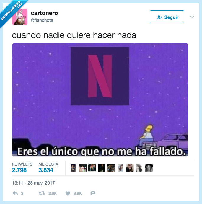netflix,homer,hacer