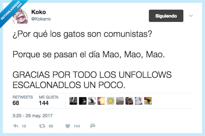 gatos,coministas,mao