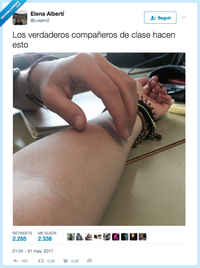 acariciar,compañero,clase