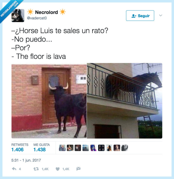 horse,luis,lava,suelo
