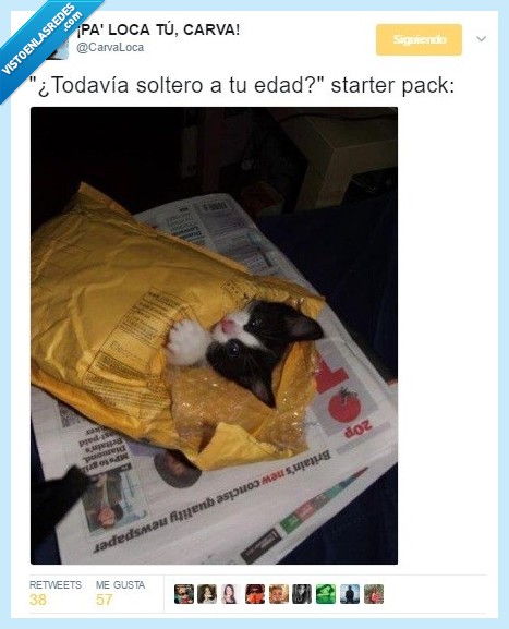 soltero,edad,starter,pack,gato,carta,paquete,correo