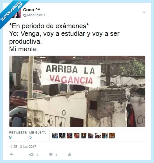 estudios,examenes,estudiar,mente