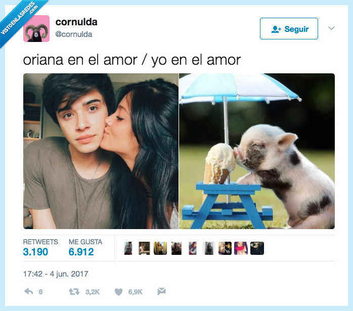 amor,cerdito,beso,comida