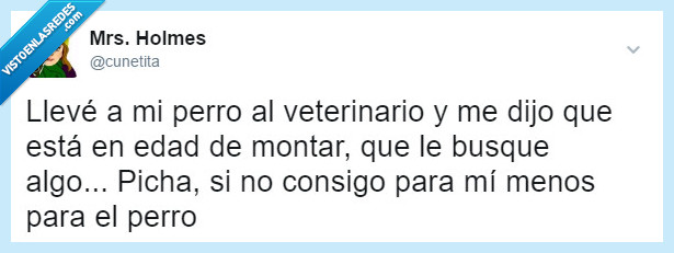 veterinario,perro,vida,pareja,salud,twitter,humor,anécdota