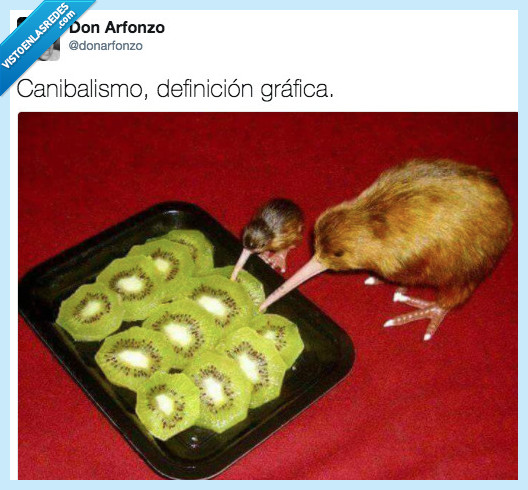 kiwi,canibal,definición