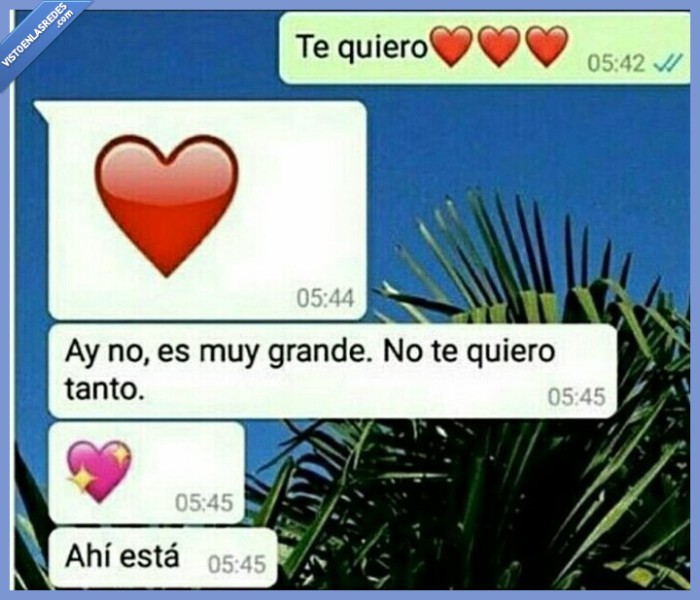 querer,novio,wahtsapp