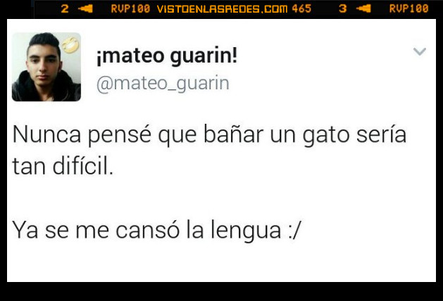 instagram,mateoguarin_,gato,lengua,bañar