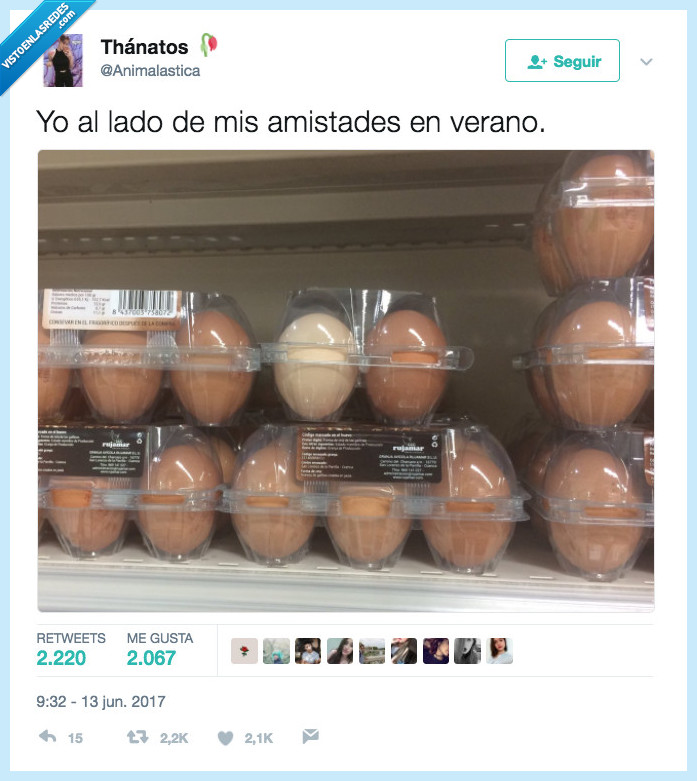 huevo,moreno,pil,amistades