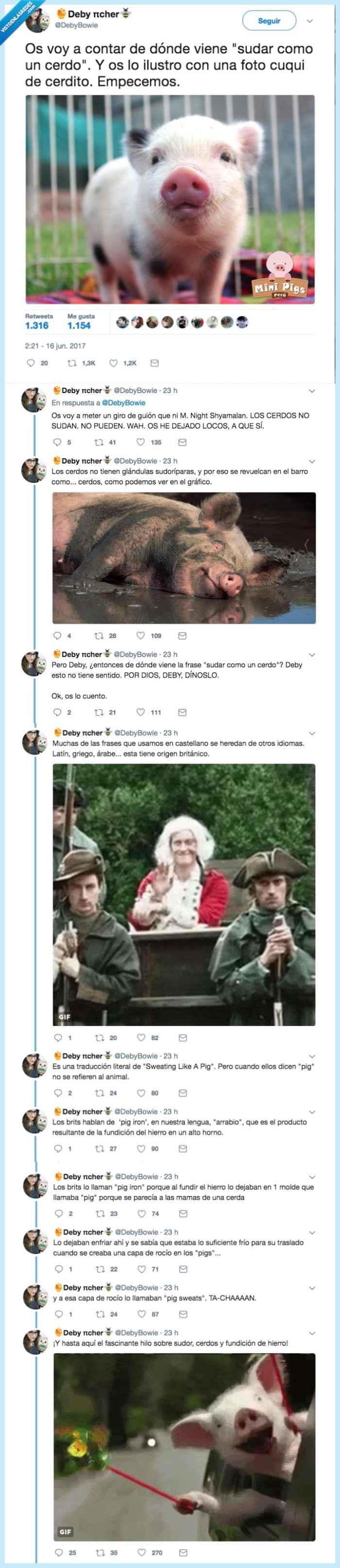 cerdo,lista,contar,expresión