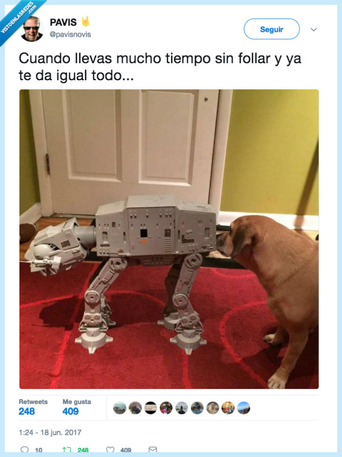 star wars,perro,olisquear