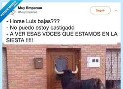 Enlace a Horse Luis y su panda vuelven a la carga con un nuevo meme en su pandilla, por @MuyEmpanao